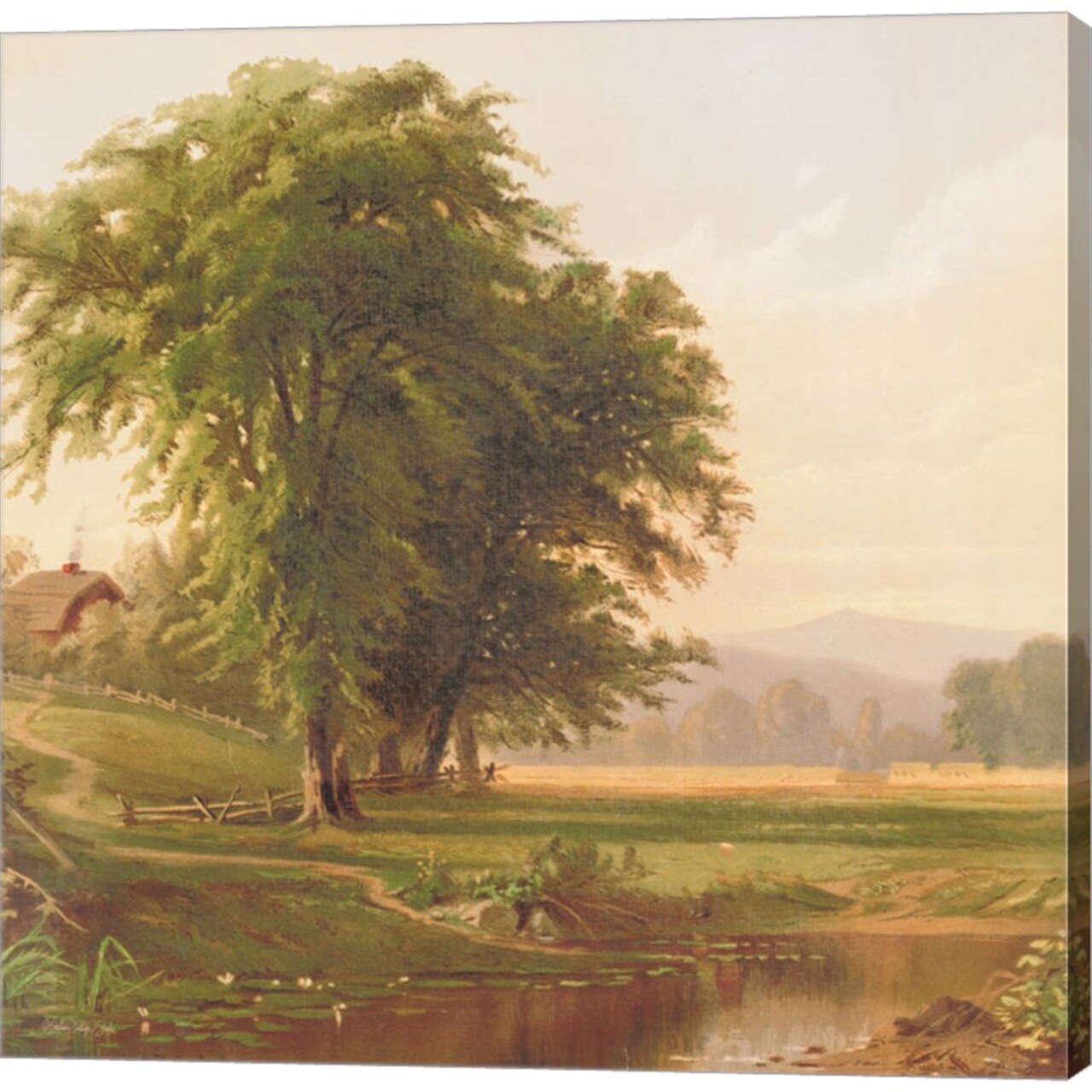 Country Pond 1 by Stellar Design Studio 24" x 24" Canvas Wall Art